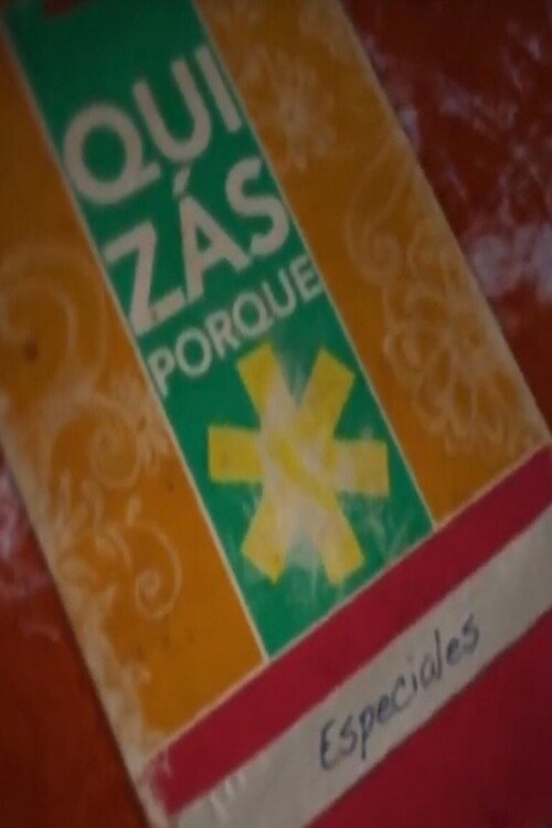 Gustavo Cerati - Especial Quizás Porque (2011) poster
