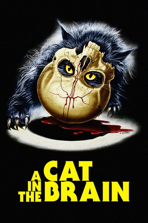 A Cat in the Brain (1990) poster