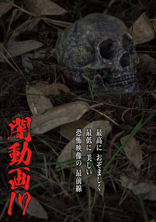 Tokyo Videos of Horror 17 (2017) poster