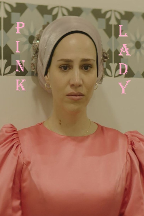 פינק ליידי (2025) poster