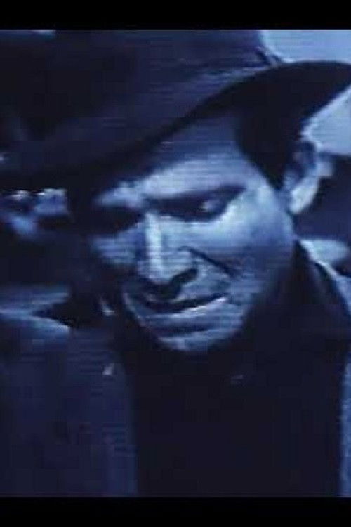 O Espectador que o Cinema Esqueceu (1991) poster