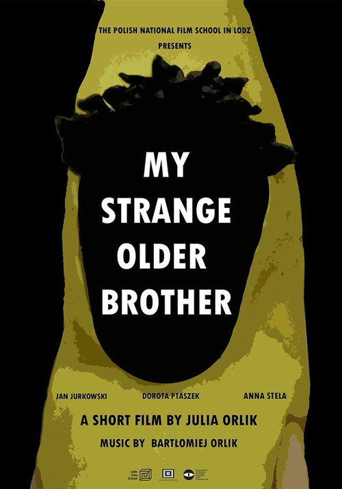 My Strange Older Brother (2019) poster