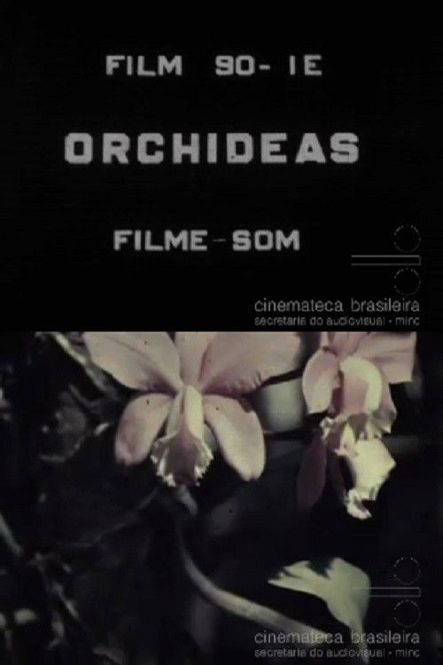 Orquídeas (1937) poster