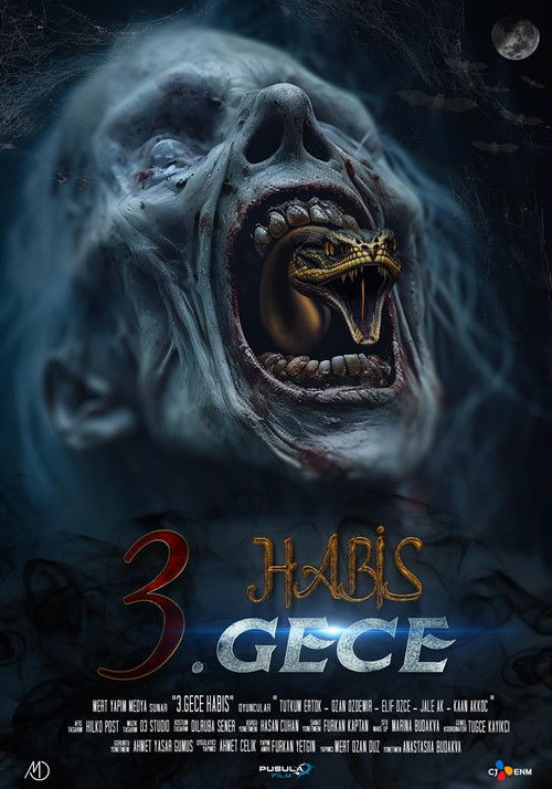 3. Gece Habis (2024) poster