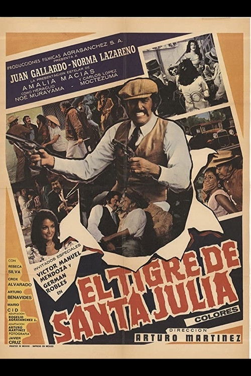 El Tigre De Santa Julia (1974) poster