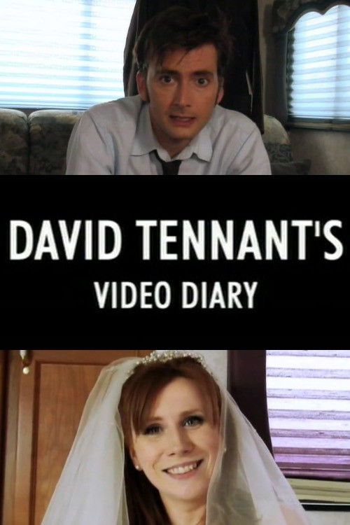 David Tennant's Video Diary (2007) poster