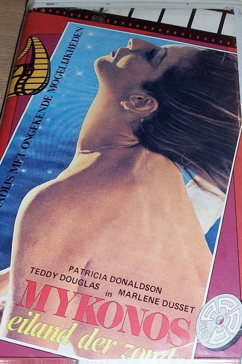 Erotic Nightmare (1978) poster