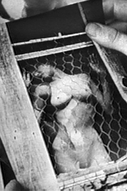 La Femme Image (1960) poster