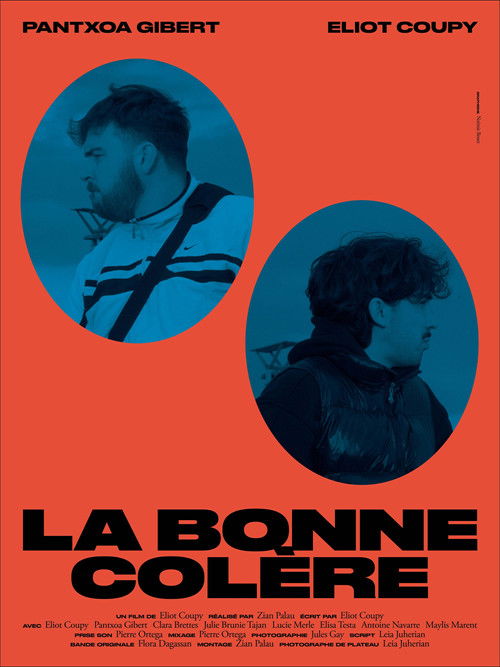 La Bonne Colère (2025) poster