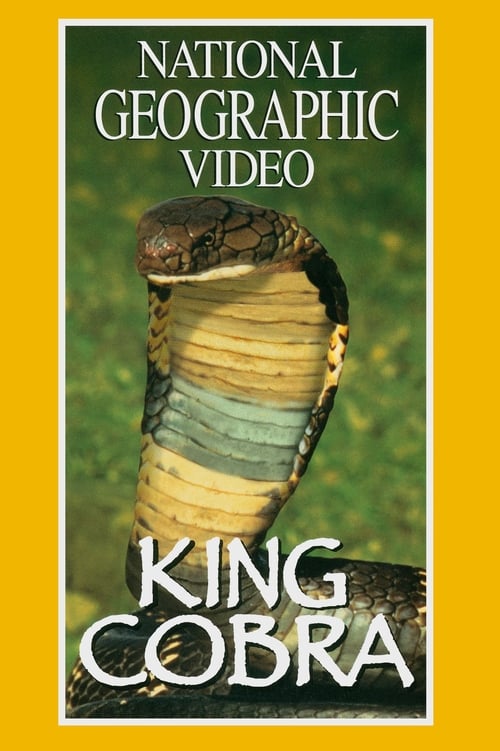 King Cobra (1997) poster