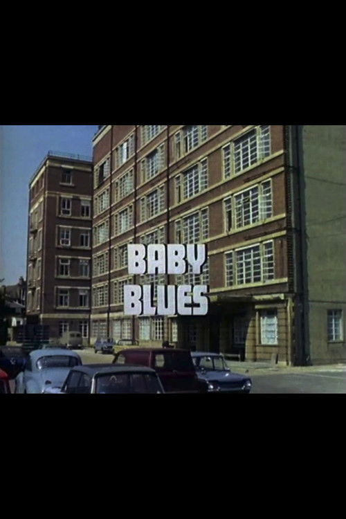Baby Blues (1973) poster