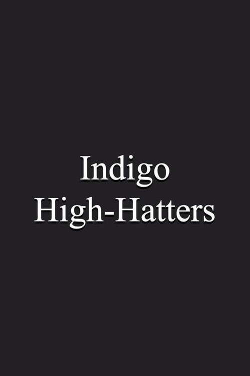 Indigo High-Hatters (1991) poster
