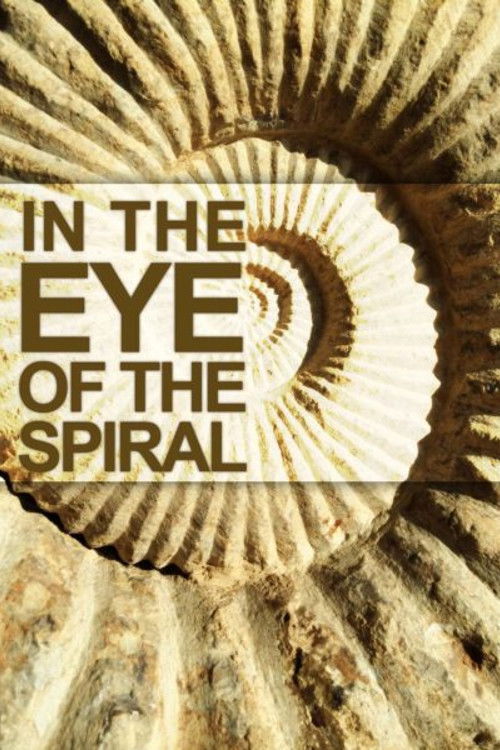 In the Eye of the Spiral (2014) poster