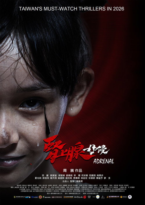 腎上腺-母侵 (2026) poster