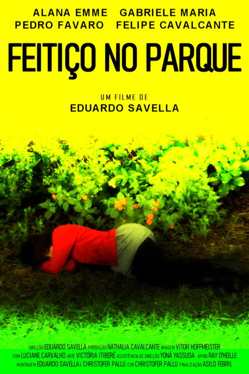 Spell in the Park (2020) poster