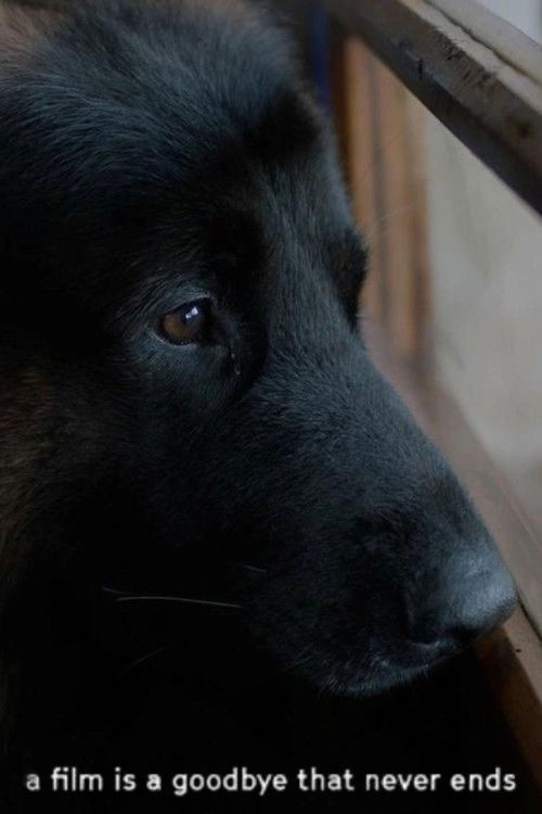 a film is a goodbye that never ends (2024) poster