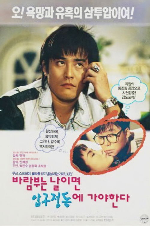 바람 부는 날이면 압구정동에 가야 한다 (1993) poster
