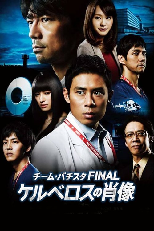チーム・バチスタFINAL ケルベロスの肖像 (2014) poster