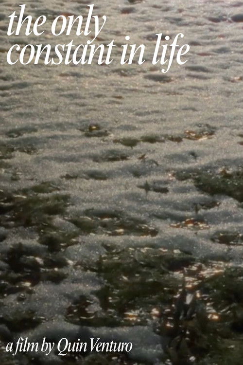 The Only Constant In Life (2026) poster