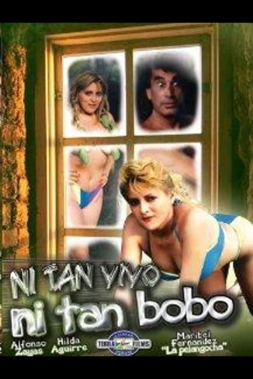 Ni tan bobo, ni tan vivo (1991) poster