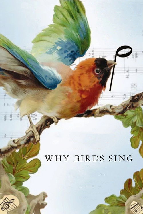 Why Birds Sing (2007) poster