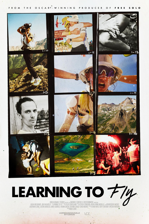 Learning to Fly (2025) poster