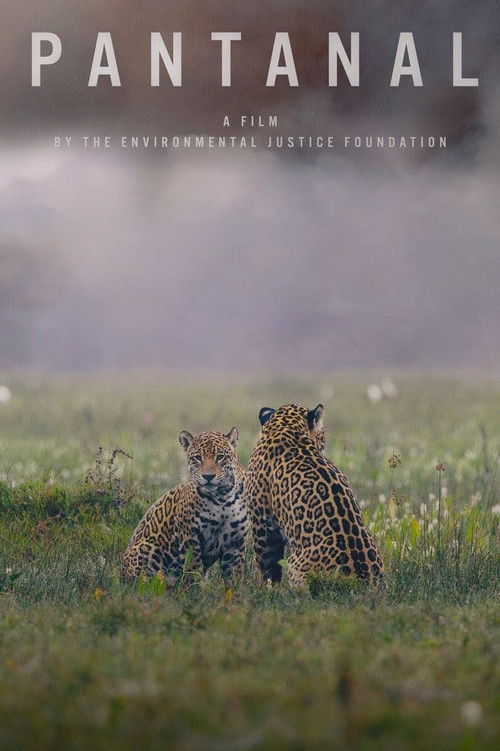 Pantanal (2024) poster