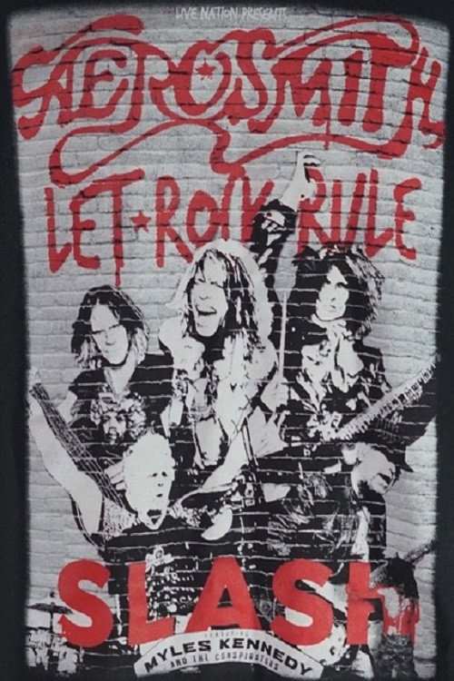 Aerosmith Let Rock Rule Tour (2014) poster