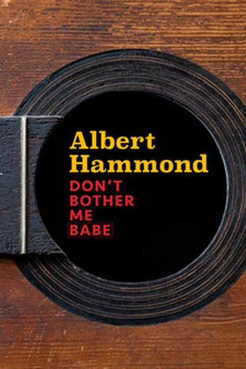 Don't Bother Me Babe (2023) poster