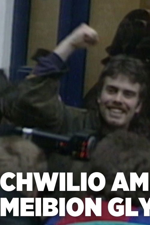 Bryn Fon: Search for the Sons of Glyndwr (2021) poster