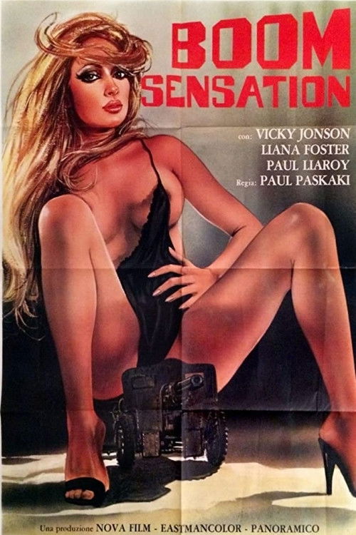 Boom Sensation (1975) poster