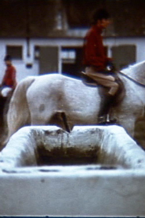 A Threnody For The Town Of Szydłów (1974) poster