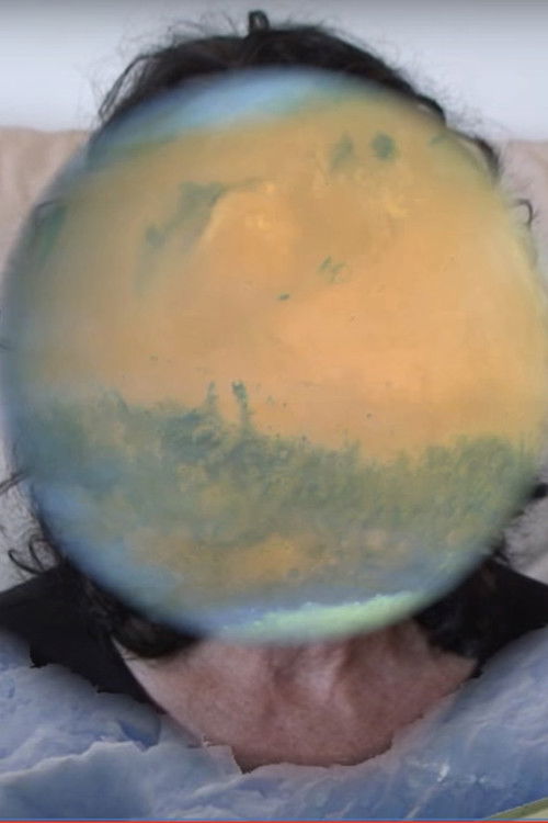 Whatever Happened to My Future? (2012) poster