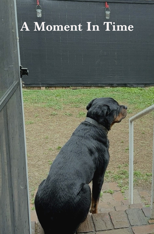 A Moment In Time (2024) poster