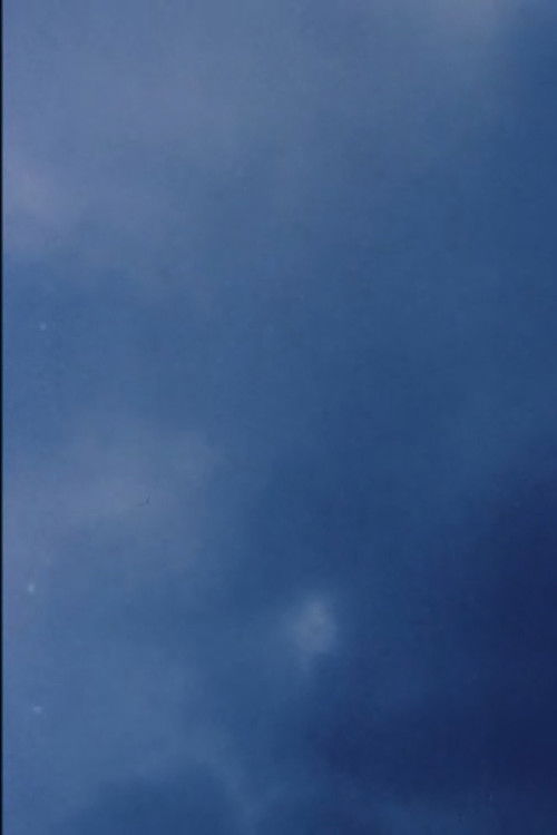 Coda II (2013) poster