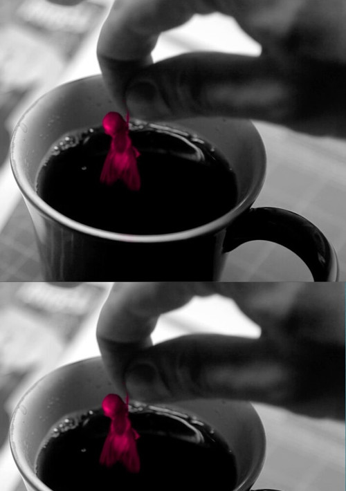 Em crise (2017) poster