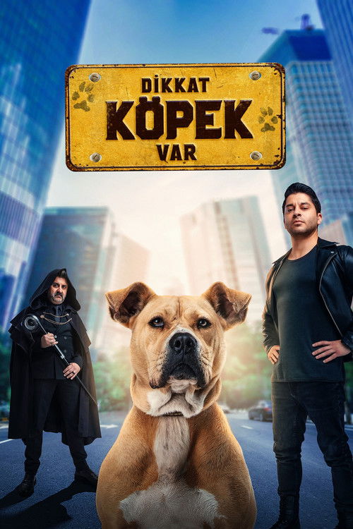 Dikkat Köpek Var (2022) poster