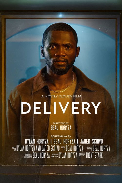 Delivery (2023) poster