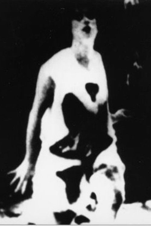 The Central Character (1978) poster