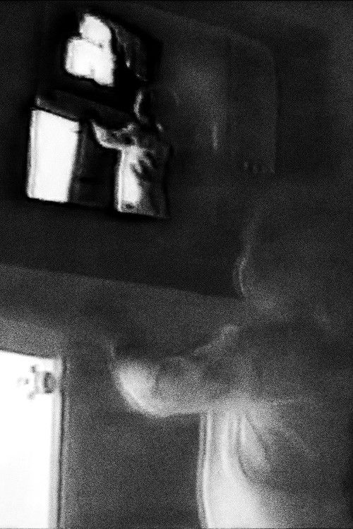 Bonjour la caméra (2025) poster