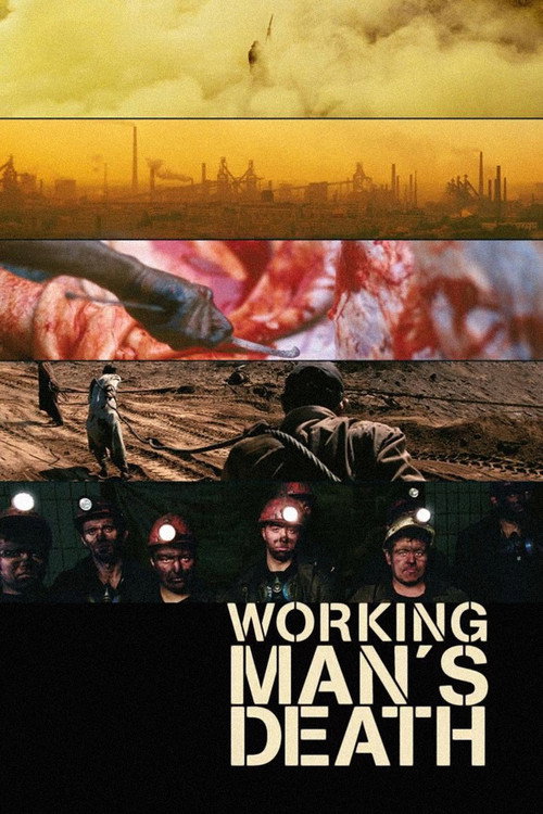 İşçinin Ölümü (2005) poster