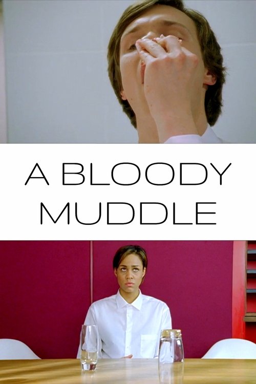 A bloody muddle (2011) poster