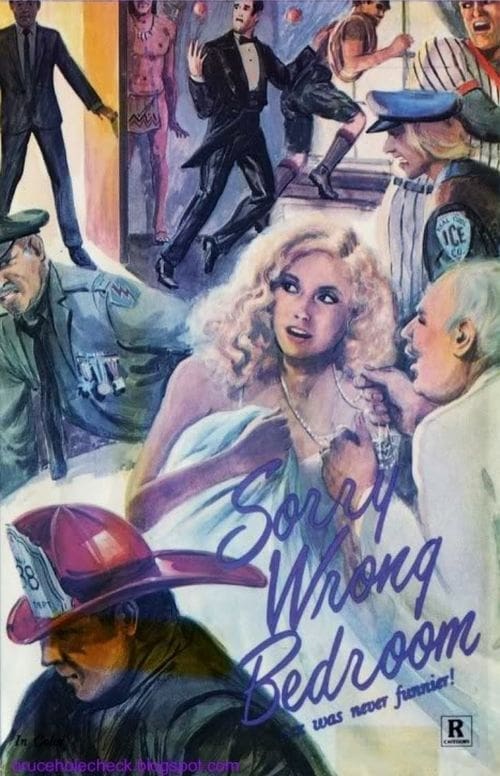 Sorry, Wrong Bedroom (1973) poster