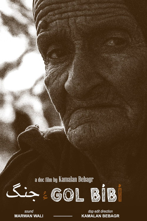 Gol Bíbí جنگ ءُ (2025) poster