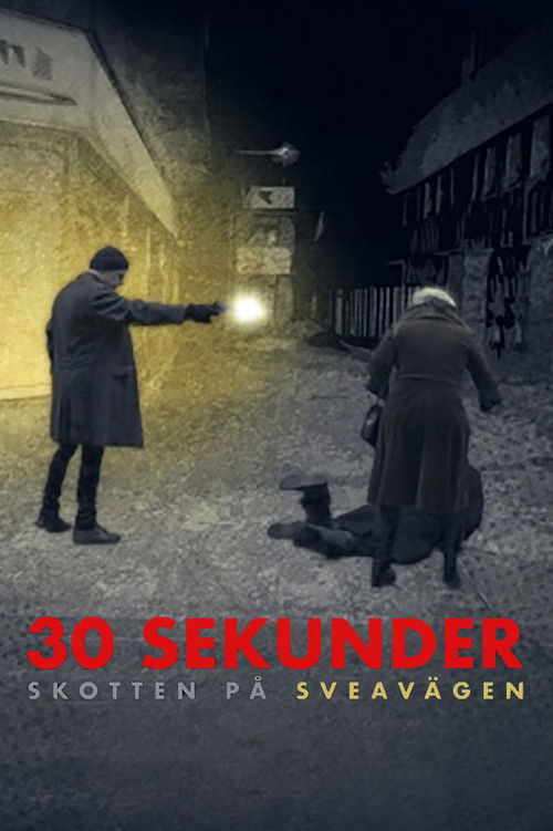 30 sekunder: Skotten på Sveavägen (2023) poster