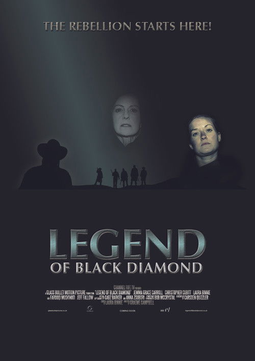 Legend of Black Diamond (2015) poster