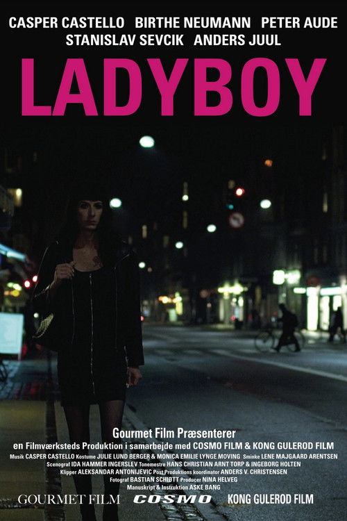 Ladyboy (2011) poster