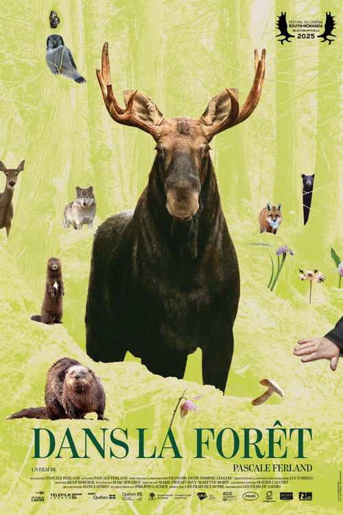 In the Forest poster