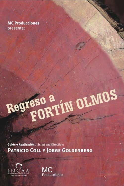 Regreso a Fortín Olmos (2008) poster