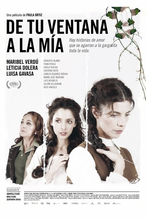 De tu ventana a la mía (2011) poster